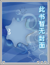 奋斗在洪武末年